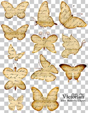 Butterfly Coloring Book PNG, Clipart, Artwork, Black And White ...