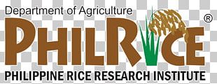 Philippine Rice Research Institute PNG Images, Philippine Rice Research ...