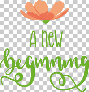 A New Beginning PNG