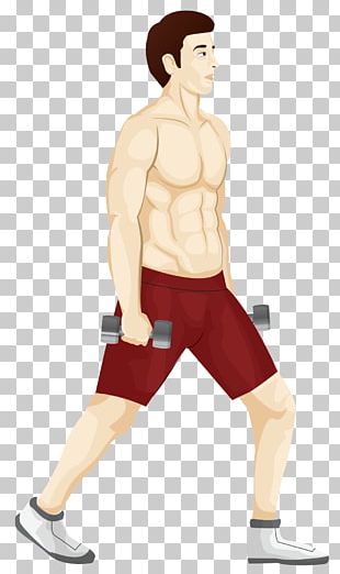 Biceps Curl Exercise Brachialis Muscle Triceps Brachii Muscle PNG, Clipart,  Abdomen, Arm, Art, Back, Boxing Glove Free PNG Download