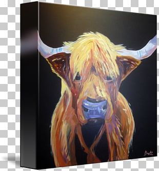 Cattle Painting Snout Jeffrey Horn PNG