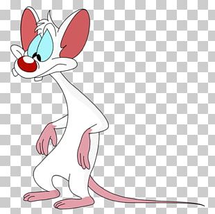 Pinky And The Brain png images