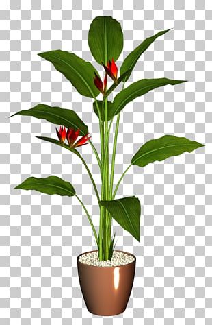 Flowerpot Houseplant PNG, Clipart, Arecales, Bonsai, Decoration ...