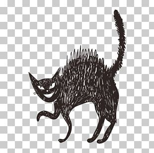 Cartoon Little Black Cat PNG Images, Cartoon Little Black Cat Clipart ...