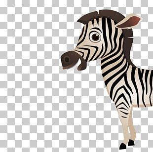 Zebra Head PNG Images, Zebra Head Clipart Free Download