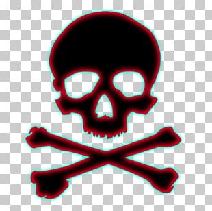 Calavera Human Skull Definition Dictionary PNG