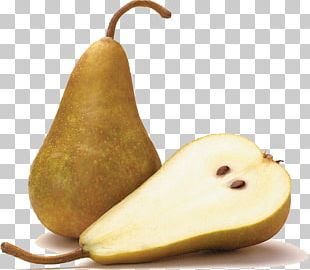 Bosc Pear Asian Pear D'Anjou Fruit Shipova PNG