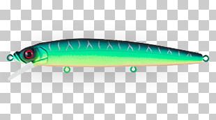 Sardine Spoon Lure Perch AC Power Plugs And Sockets PNG