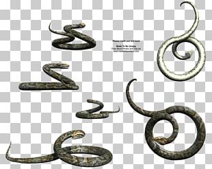 3d Snake, Gradient Snake, Large Pythons, Snake PNG Transparent Clipart  Image and PSD File for Free Download