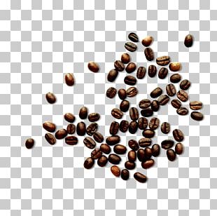 White Coffee Cafe Coffee Bean PNG, Clipart, Bean, Cafe, Caffeine ...