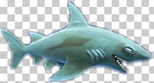 United States Hungry Shark Evolution Sticker Great White Shark PNG ...