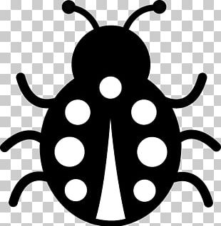 Ladybug PNG, Free Download Ladybug Clipart Images - Free Transparent PNG  Logos