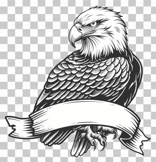 Eagle Tattoo - Majestic Eagle With Blank Banner PNG