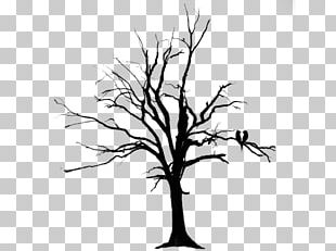 Cartoon Dead Tree PNG Images, Cartoon Dead Tree Clipart Free Download