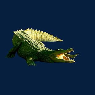 TÉLÉCHARGER CROCODILE PHYSICS STARTIMES GRATUIT CROCODILE GRATUIT TÉLÉCHARGER PHYSICS STARTIMES