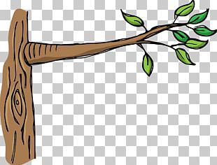 Branch Tree Stock Photography PNG, Clipart, Branch, Canopy, Deck ...