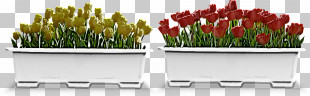 Flower Border Flower Background Floral Line PNG