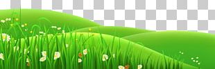 Flower Prairie PNG