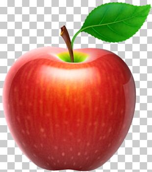 Apple Fruit PNG, Clipart, Apel, Apple, Cripps Pink, Desktop Wallpaper ...