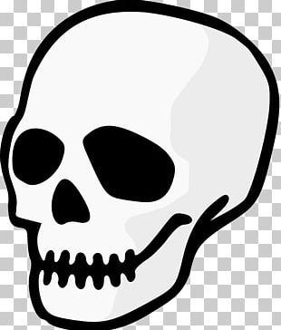 Nose Skull Jaw Drawing PNG, Clipart, 8 January, Bone, Drawing, Face