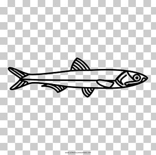 anchovie clipart