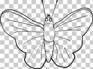 butterfly black and white clipart outline map