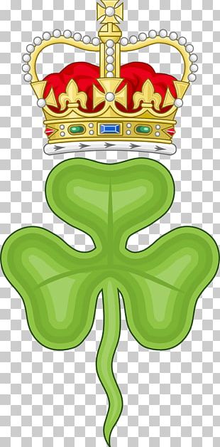 Flag Of Ireland Shamrock Leprechaun PNG, Clipart, Area, Blessing Rain,  Branch, Circle, Flag Free PNG Download