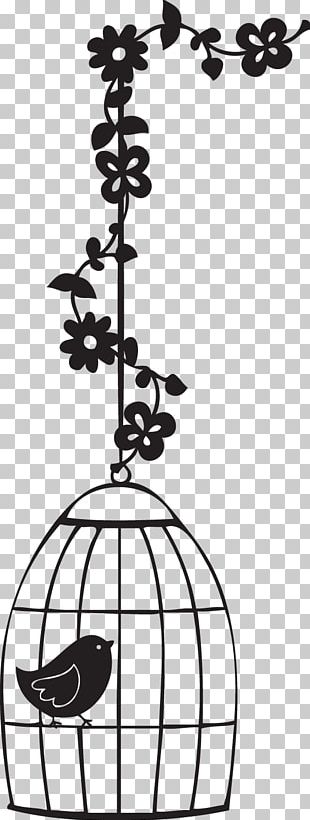 Birdcage Birdcage Domestic Canary Stencil PNG