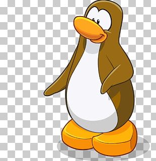 Club Penguin Island PNG, Clipart, Black And White, Club Penguin, Club ...