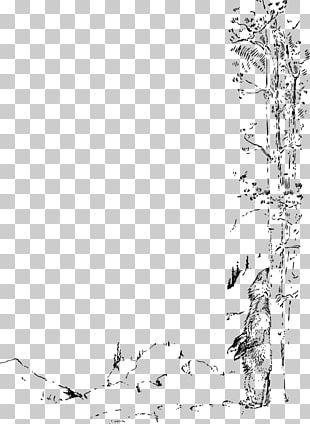 Plant Drawing PNG, Clipart, Almond, Art, Artwork, Black And White, Clip ...