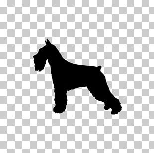 Miniature Schnauzer Lakeland Terrier Dog Breed Giant Schnauzer Standard Schnauzer PNG