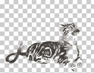 Tiger Claw Cheetah PNG, Clipart, Animal, Animals, Art, Cat, Cheetah ...