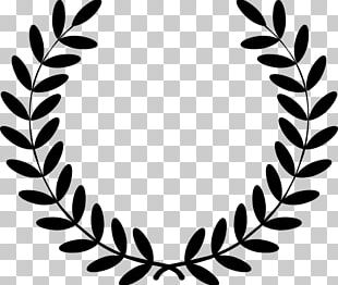 Laurel Wreath Olive Wreath Photography PNG, Clipart, Award, Background ...