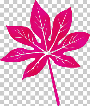 Leaf Flower Symmetry Petal Line PNG