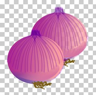 Onion Vegetable PNG