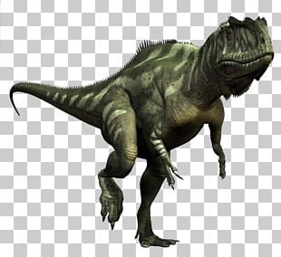 Tyrannosaurus Brachiosaurus Dinosaur Allosaurus Stegosaurus PNG ...