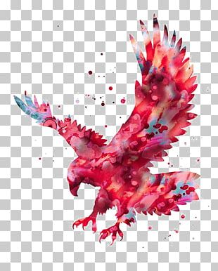 Red Eagle PNG Images, Red Eagle Clipart Free Download