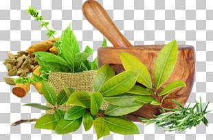 Ayurveda For Dummies Ayurvedic Healing Medicine Panchakarma PNG