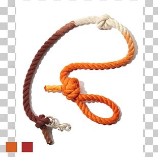 Dog Leash Collar Cat Pet PNG