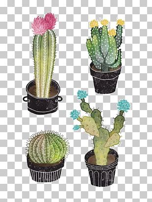 Cactaceae Succulent Plant Watercolor Painting Illustration PNG