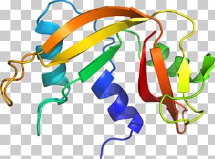 Line Organism PNG