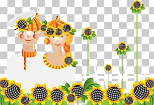 Common Sunflower Silhouette Illustration PNG