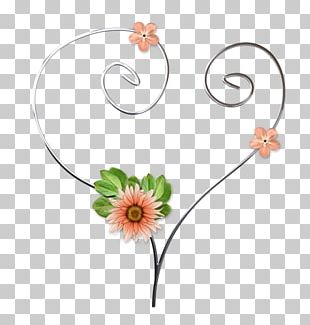 Cut Flowers Falafel Kibbeh Cooking Ground Meat PNG