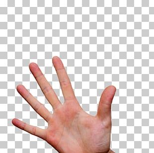 Thumb Hand Model Nail Camera PNG