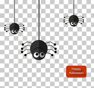 Spider Cartoon Illustration PNG
