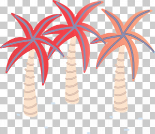 Palm Trees PNG