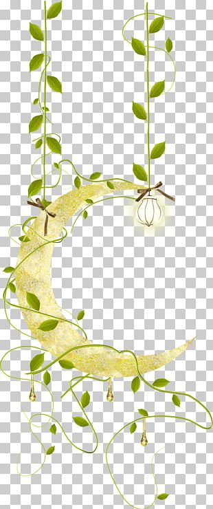 Moon Cartoon Illustration PNG