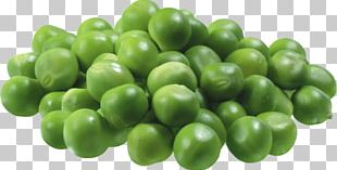 Snow Pea Pea Soup Snap Pea PNG