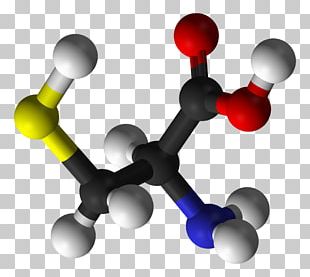 Cysteine Amino Acid Cystine Protein Structure PNG