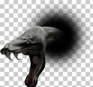 Snake Sticker Dinosaur PNG